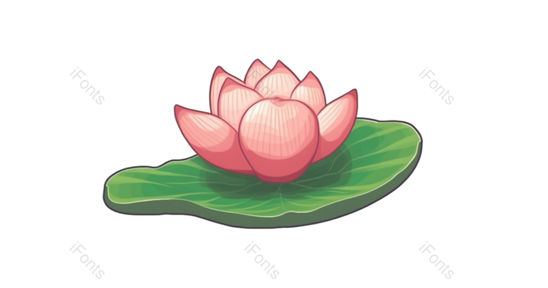 夏至图片,清新元素,荷花PNG,户外免抠素材